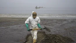 Aumentan a 24 las playas contaminadas por el derrame de petróleo en Perú