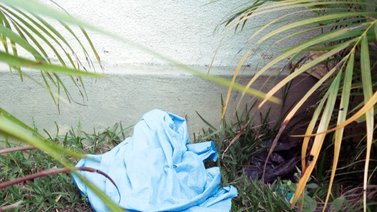 Masacraron a tiros a un hombre “por descuartizar a un caballo” en Aragua