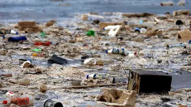 Impulsan un proyecto para combatir la basura marina en el Mediterráneo Impulsan un proyecto para combatir la basura marina en el Mediterráneo