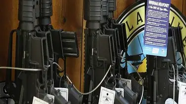 Propietarios de armas en California deben tener seguro y pagar tarifa Propietarios de armas en California deben tener seguro y pagar tarifa