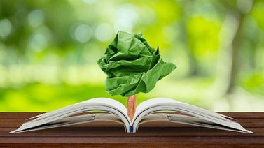 Se celebra el Día Mundial de la Educación Ambiental