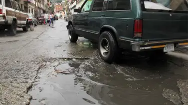 La Vega es el reino de las troneras La Vega es el reino de las troneras