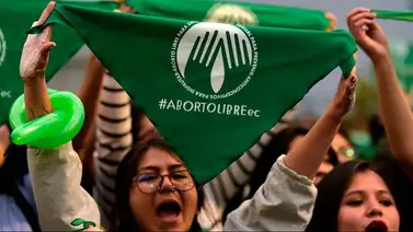 Asamblea debate ley de aborto por violación y Lasso avanza que podría vetarla Asamblea debate ley de aborto por violación y Lasso avanza que podría vetarla