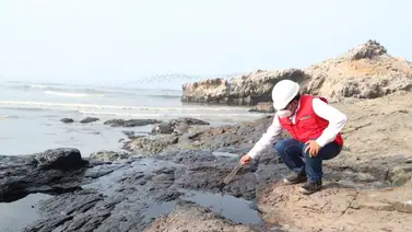 Repsol retira arena afectada por derrame de crudo en Perú Repsol retira arena afectada por derrame de crudo en Perú
