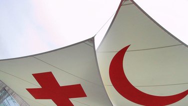 Cruz Roja Internacional sufre robo de información sensible en ciberataque