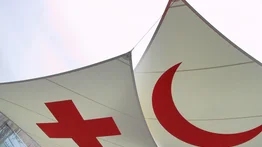 Cruz Roja Internacional sufre robo de información sensible en ciberataque