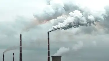 La contaminación química en el mundo llama la atención de los expertos La contaminación química en el mundo llama la atención de los expertos