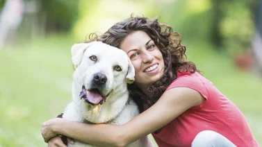 ¿Cuál es la expectativa de vida de los perros?