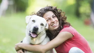 ¿Cuál es la expectativa de vida de los perros? ¿Cuál es la expectativa de vida de los perros?