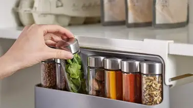 Organizadores de especies para ahorrar espacio Organizadores de especies para ahorrar espacio