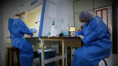 Paraguay prolonga sus medidas de bioseguridad hasta el 18 de enero Paraguay prolonga sus medidas de bioseguridad hasta el 18 de enero