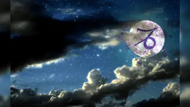 Capricornio: ejemplo de disciplina y estructura Capricornio: ejemplo de disciplina y estructura