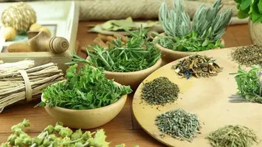 Hierbas aromáticas: cómo conservarlas y utilizarlas Hierbas aromáticas: cómo conservarlas y utilizarlas