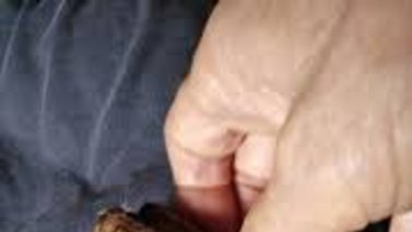 "Las manos de seda" de Falcón han sido capturadas