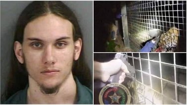 Trabajador de zoológico de Florida puede enfrentar cargos