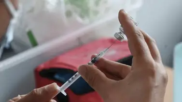 Los gobiernos de Francia y Alemania realizaran vacunaciones de refuerzo contra el COVID-19 Los gobiernos de Francia y Alemania realizaran vacunaciones de refuerzo contra el COVID-19