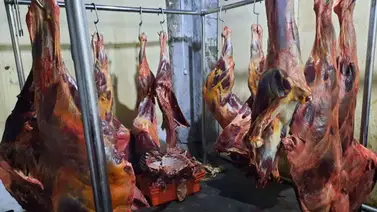 Perú: Incautan casi ocho mil kilos de carne de caballo que iba a ser vendida como res Perú: Incautan casi ocho mil kilos de carne de caballo que iba a ser vendida como res