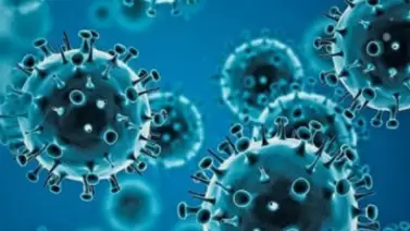 Ómicron: cómo actúa y cómo defendernos de esta nueva variante Ómicron: cómo actúa y cómo defendernos de esta nueva variante