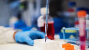 Desarrollan una herramienta que predice el impacto de las mutaciones del SARS-CoV-2