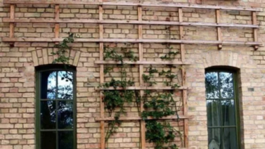 Ideas para decorar la pared del jardín