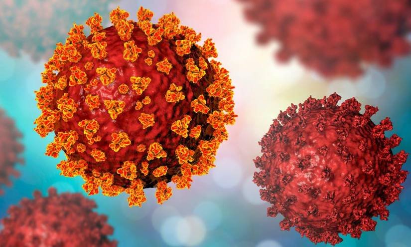 OMS: África acapara el 46 % de casos de ómicron OMS: África acapara el 46 % de casos de ómicron