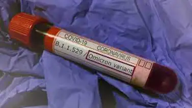 La variante ómicron crece en más de 10 estados de EE.UU La variante ómicron crece en más de 10 estados de EE.UU