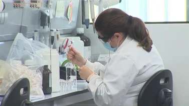 Reinfección por COVID-19 parece ser más probable con la variante Ómicron