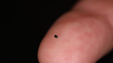 Elaboran cámara con el tamaño de un grano de sal de alta definición