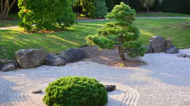 Claves para crear un jardín zen Claves para crear un jardín zen