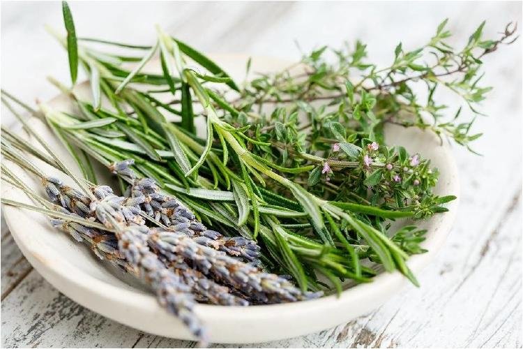 Plantas que sirven para limpiar, armonizar y purificar