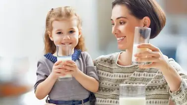 Conoce los beneficios de consumir leche Conoce los beneficios de consumir leche