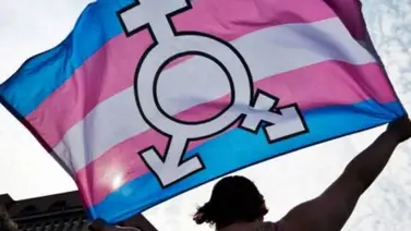 Países Bajos se disculpa por forzar a los transgénero a esterilizarse Países Bajos se disculpa por forzar a los transgénero a esterilizarse