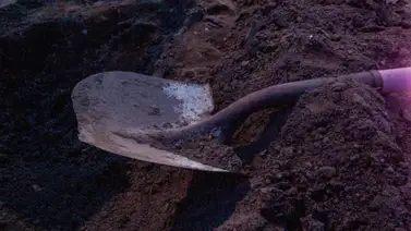 Hallan cuerpo de una mujer enterrado en el patio de su casa Hallan cuerpo de una mujer enterrado en el patio de su casa