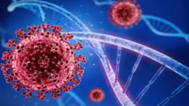 Aseguran que haber sufrido un ictus triplica el riesgo de morir tras superar la COVID-19 Aseguran que haber sufrido un ictus triplica el riesgo de morir tras superar la COVID-19