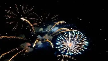 Países Bajos prohíbe fuegos artificiales en Nochevieja por la COVID-19 Países Bajos prohíbe fuegos artificiales en Nochevieja por la COVID-19