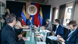 Observadora jefa de la MOE-UE aborda con Guaidó situación política venezolana