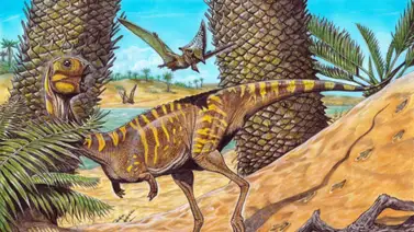Descubren en Brasil un dinosaurio "muy raro" del período Cretácico Descubren en Brasil un dinosaurio "muy raro" del período Cretácico