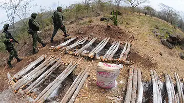 Hallan 65 cuerpos y 5.000 restos humanos en una fosa en el estado de Veracruz Hallan 65 cuerpos y 5.000 restos humanos en una fosa en el estado de Veracruz