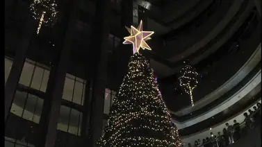 Todo el esplendor del brillo navideño Todo el esplendor del brillo navideño