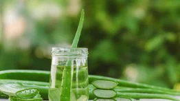 La sábila: una medicina antiquísima con propiedades