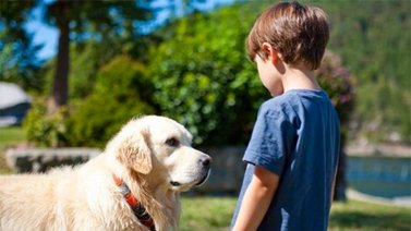 Perros recomendados para los niños con autismo
