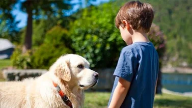 Perros recomendados para los niños con autismo
