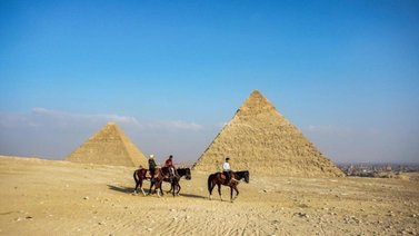 500 personas fueron picadas por escorpiones en el sur de Egipto