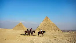 500 personas fueron picadas por escorpiones en el sur de Egipto