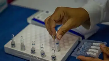 Venezuela recibe 2,5 millones de dosis de vacunas del sistema Covax Venezuela recibe 2,5 millones de dosis de vacunas del sistema Covax