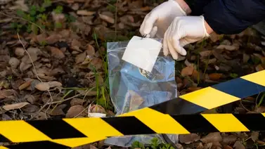 Encuentran el cadáver de una niña de cinco años en zona boscosa de Miranda Encuentran el cadáver de una niña de cinco años en zona boscosa de Miranda