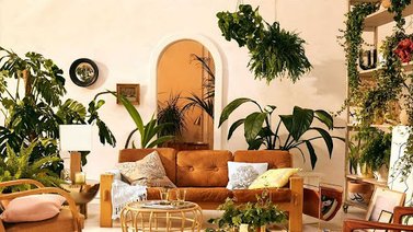 Incorpora las plantas en tu decorado de interior
