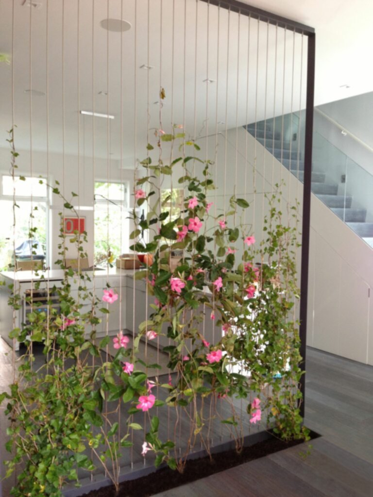 Incorpora las plantas en tu decorado de interior Incorpora las plantas en tu decorado de interior