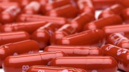 EMA no avala el uso de emergencia del antiviral molnupiravir para la COVID-19
