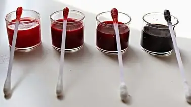 Encuentra soluciones en un clic Encuentra soluciones en un clic